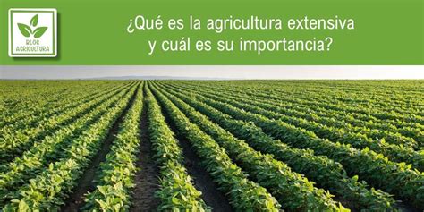 Qu Es La Agricultura Extensiva Y Cu L Es Su Importancia The Best