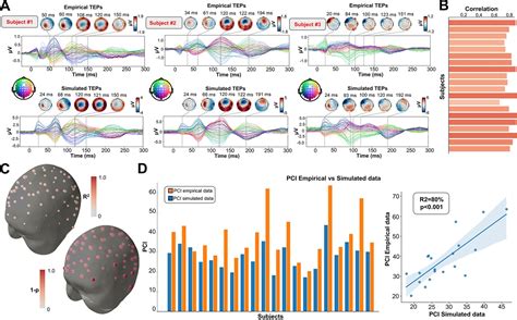 Figures And Data In TMS Evoked Responses Are Driven By Recurrent Large