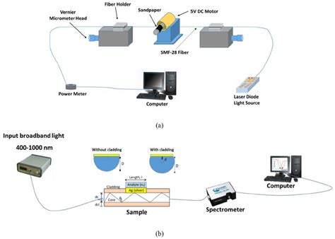 Biosensors Free Full Text Overview Of Recent Advances In The Design