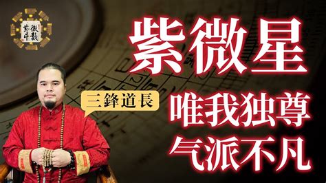 紫微星北斗星君的老大，唯我獨尊 文化 命理 八字 算命 易經 國學 傳統文化 感情 婚姻 事業 財運 桃花 心理學