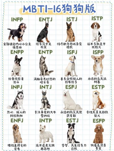 Pin by 早紀 奥村 on infp Infp Mbti Entj and enfp