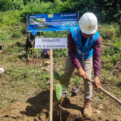 Hijaukan Hutan Di Proyek Plta Upper Cisokan Pln Uip Jbt Tanam Ribu