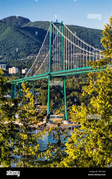 Side View Of The Lions Gate Bridge From Stanley Park Stock Photo Alamy