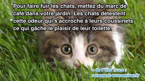 Le R Pulsif Naturel Qui Marche Pour Faire Fuir Les Chats Du Jardin