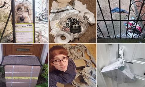 Gallery Reveals Delivery Fails Including Dog Who Shredded His Owners