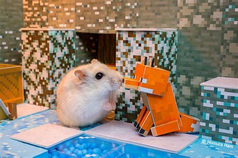 Minecraft Dungeons Redstone Mines Hamster Syrian Hamster Cute