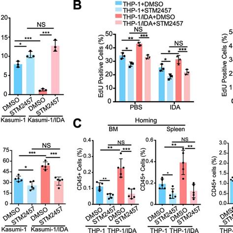 METTL3 meditated m⁶A reduces the sensitivity of AML cells to