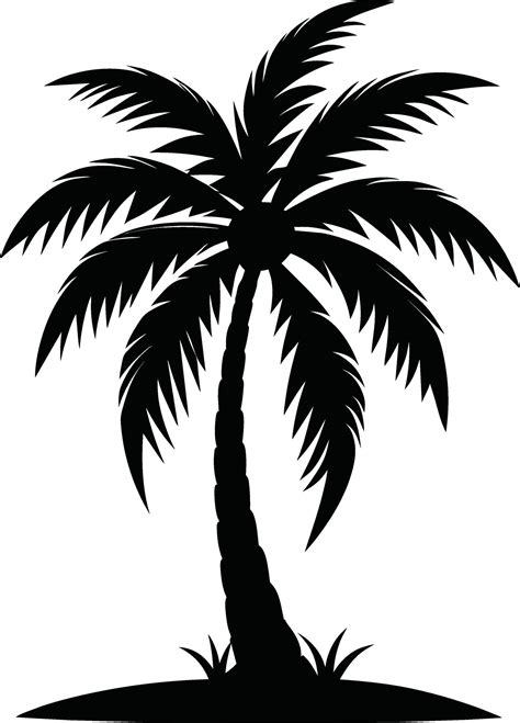 palm tree silhouette on white background 42978368 Vector Art at Vecteezy