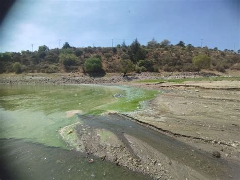 La Jornada Cae Nivel De Agua En Presa Madín Y Contamina Con Olores Fétidos