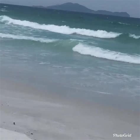 Luana Nadejda Jaime Brazilian Fucking Machine Close Up Porn XHamster