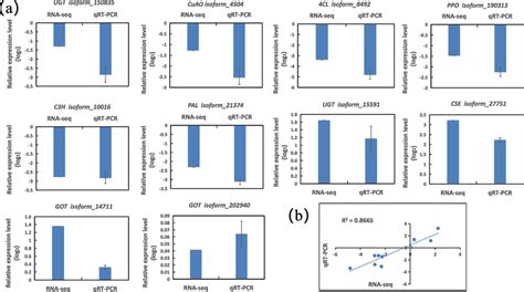 Verification Of DEGs By QRT PCR A Transcript Levels Of 10 Genes