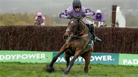 'I just love this horse - he's genuine, honest and tough' - Stage Star ...