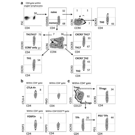 Gating Strategy Of CD4 T Cell Subsets The Gating Strategy Gating