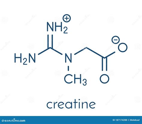 Creatine Molecule Often Used In Food Supplements Skeletal Formula