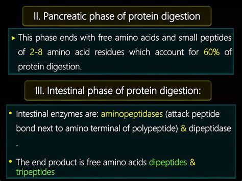 Hormonal Regulation Of Proteins Metabolism PPT