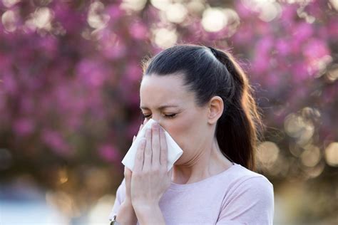 Pollens Pourquoi De Plus En Plus De Personnes Souffrent D Allergies