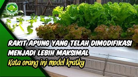 Instalasi Hidroponik Sistem Kratky Menggunakan Model Meja Seperti Rakit