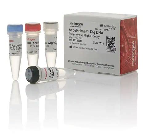 Taq Dna Polymerase Invitrogen