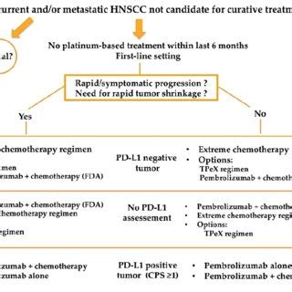 Proposed Treatment Algorithm In The First Line Setting For Patients