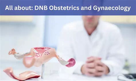 Dnb Obstetrics And Gynaecology Admission Medical Colleges Fee