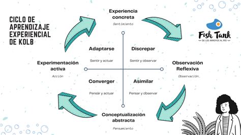 Ciclo De Aprendizaje Experiencial De Kolb Todas Las Herramientas Fish