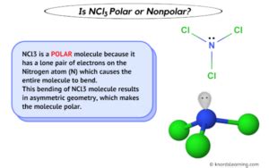 Is Ncl Polar Or Nonpolar And Why