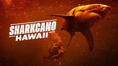 How to watch National Geographic documentary ‘Sharkcano: Hawaii’ for free - masslive.com