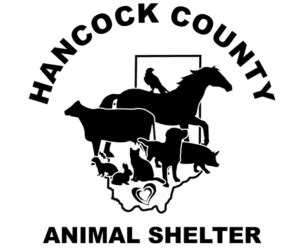 Animal Shelter | Hancock County, MS