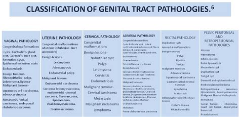 Figure 1 From Role Of Mri In Usual And Unusual Female Pelvic Pathologies With Usual