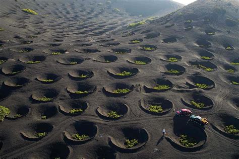 Vineyards sit in moon-like craters on a volcano in Lanzarote (and other ...