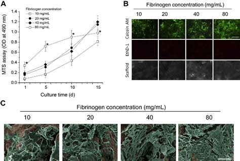 Figure 3 From Effects Of Fibrinogen Concentration On Fibrin Glue And