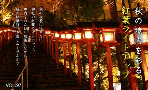 秋の境内を彩る紅葉ライトアップ｜神社com