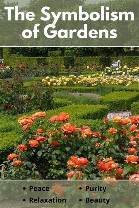 Garden Symbolism: 5 Meanings