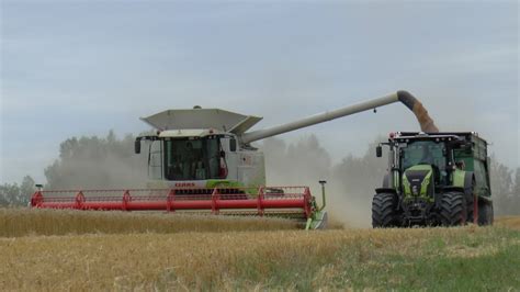 Weizen Dreschen K Claas Lexion Tt Youtube