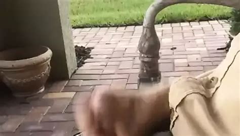 Rubber Worm In My Small Penis Gay Masturbation Masturbation Porn Feat Uncle Steve Xhamster