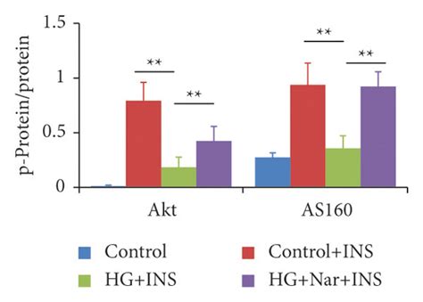 Effect Of Nar On Hg Induced Alterations Of Endothelial Function Huvecs