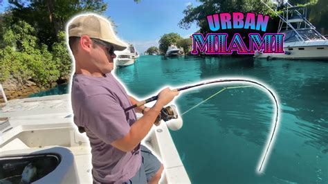 Insane Urban Canal Fishing In Miami S Hidden Locations Youtube