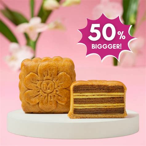 Kueh Lapis Mooncake Mdm Ling Bakery