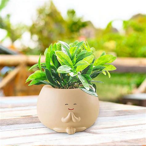 Face Plant Pots Succulent Pots Inch Head Planters For Indoor