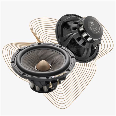 Woofer Ws Blam Audio