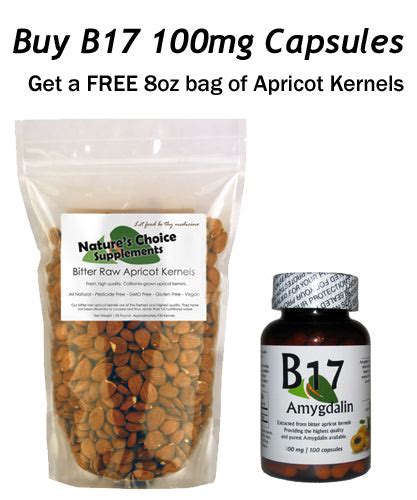 Vitamin B17 Amygdalin 100 Mg 100 Capsules Plus 8 Oz Bag Of Apricot K Nature S Choice Supplements