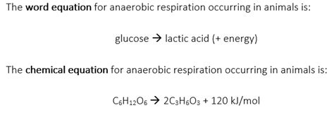 Word Equation For Respiration