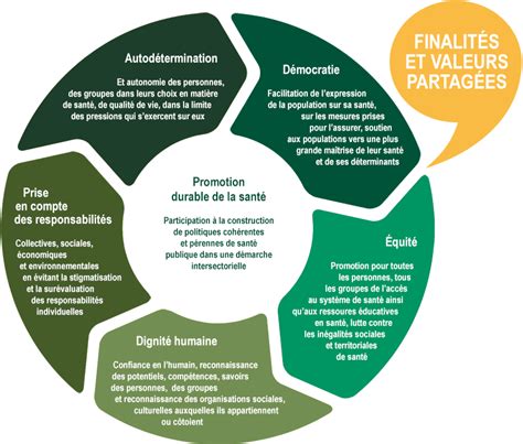 Fnes Fédération Nationale Déducation Et De Promotion De La Santé Présentation