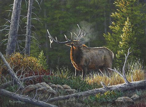 Bull Elk Paintings Page 2 Of 7 Fine Art America