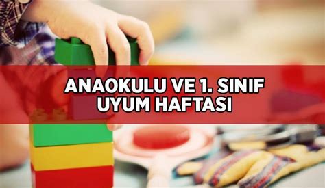 Anaokulları ne zaman açılıyor İlkokul 1 sınıflar ve anaokulları uyum