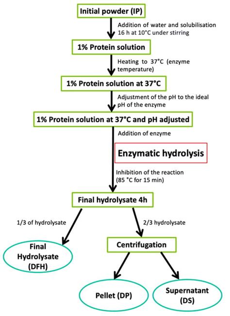 Foods Free Full Text Enzymatic Hydrolysis Of Water Lentil Duckweed