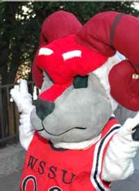 WSSU Cheerleading Announces Mascot