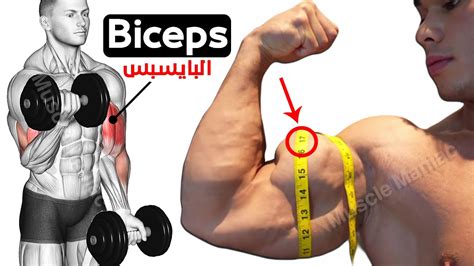 How To Build Your Biceps Fast 9 Effective Exercises تمارين البايسبس