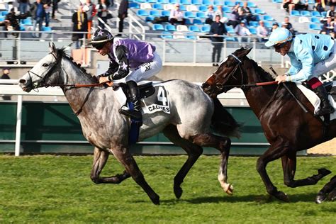 Lundi 29 janvier à Cagnes sur Mer Prix du Languedoc Quinté