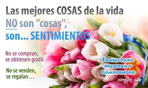 Top Imagen Las Mejores Frases Celebres De Reflexion Abzlocal Mx